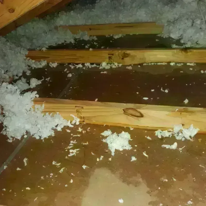 Attic Water Damage in McGill, NV