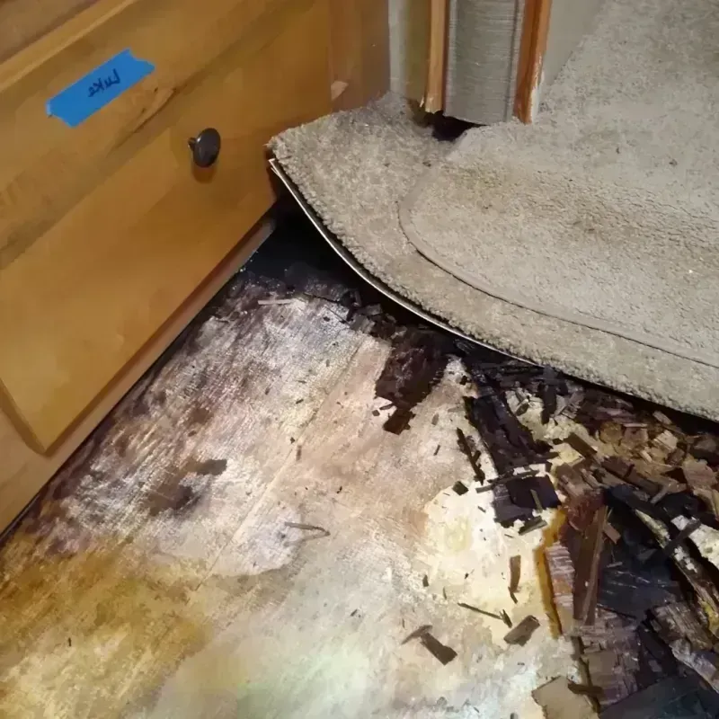 Wood Floor Water Damage in McGill, NV